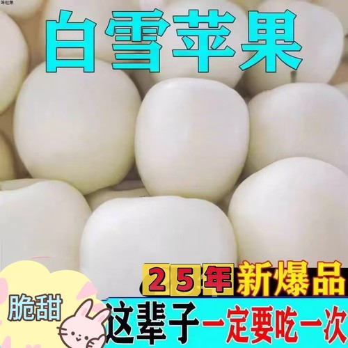 山东奶油富士苹果牛奶白苹果