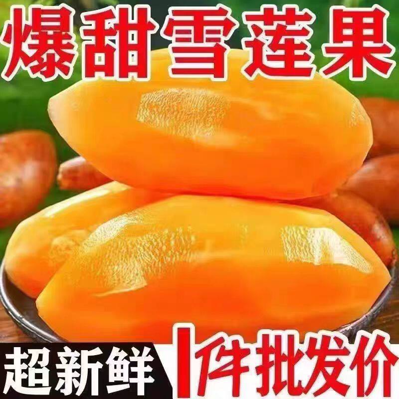 云南特产当季现挖天山雪莲果红黄心新鲜水果9斤5斤脆一级产地直发