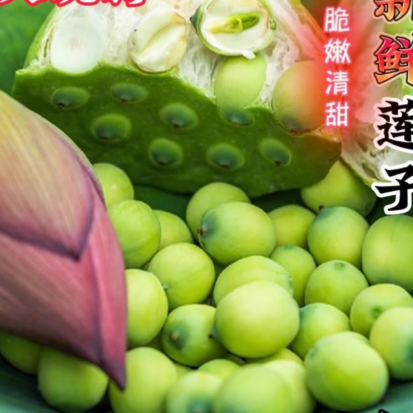 2024年新鲜生莲子生吃水果洪湖莲蓬米现摘现发甜嫩鲜莲子带绿顺丰