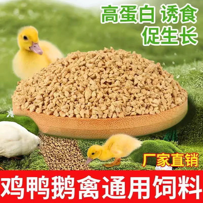 Прямые поставки от производителя высокопитательных кормов для кур, добавок кальция, корма для цыплят, корма для кур, уток, гусей, рыб, специальных фермерских кормов.