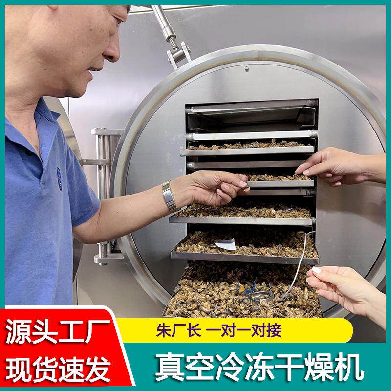 方便面真空冻干机 鳝鱼段蚯蚓冻干机 新疆哈密瓜雪蛤甲鱼冻干机