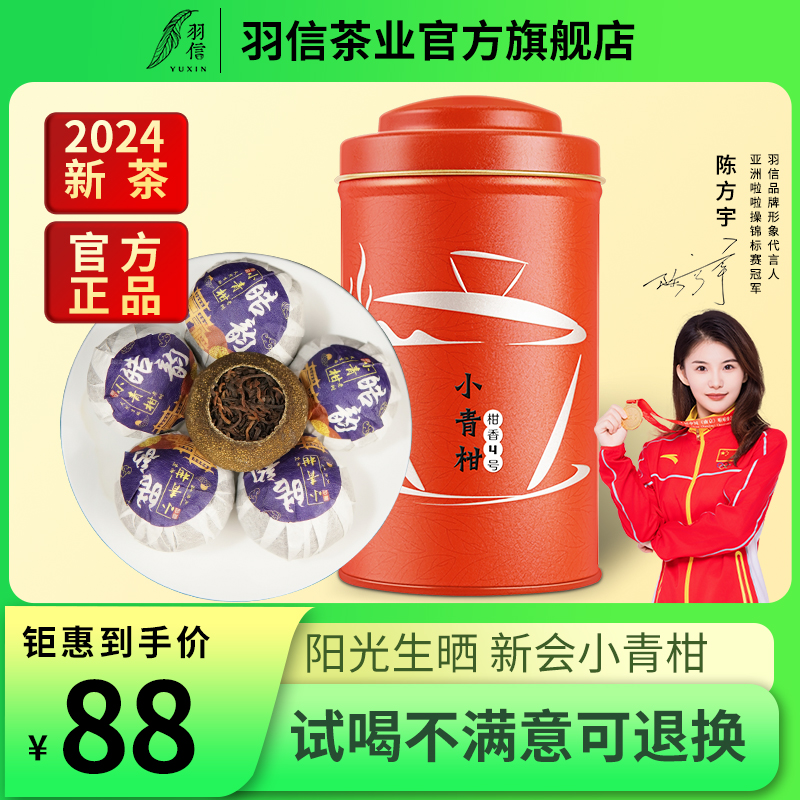 10年小青柑正宗新会陈皮云南熟普