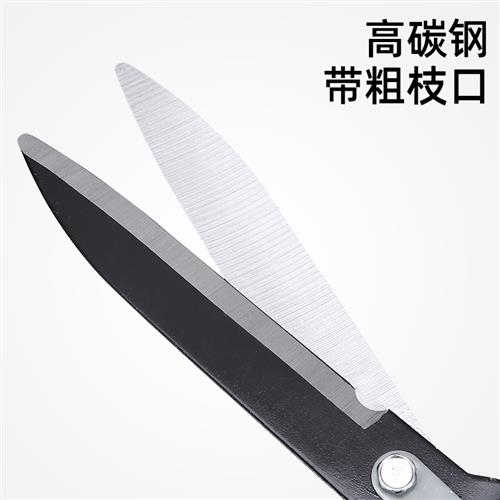 新款造型修枝剪园艺剪刀整枝花枝剪树枝园林大剪刀草坪剪绿篱剪篱