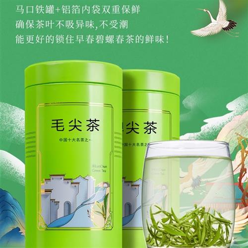 毛尖茶叶2024新茶绿茶明前嫩芽叶浓香型散装高山日照春茶250g罐装