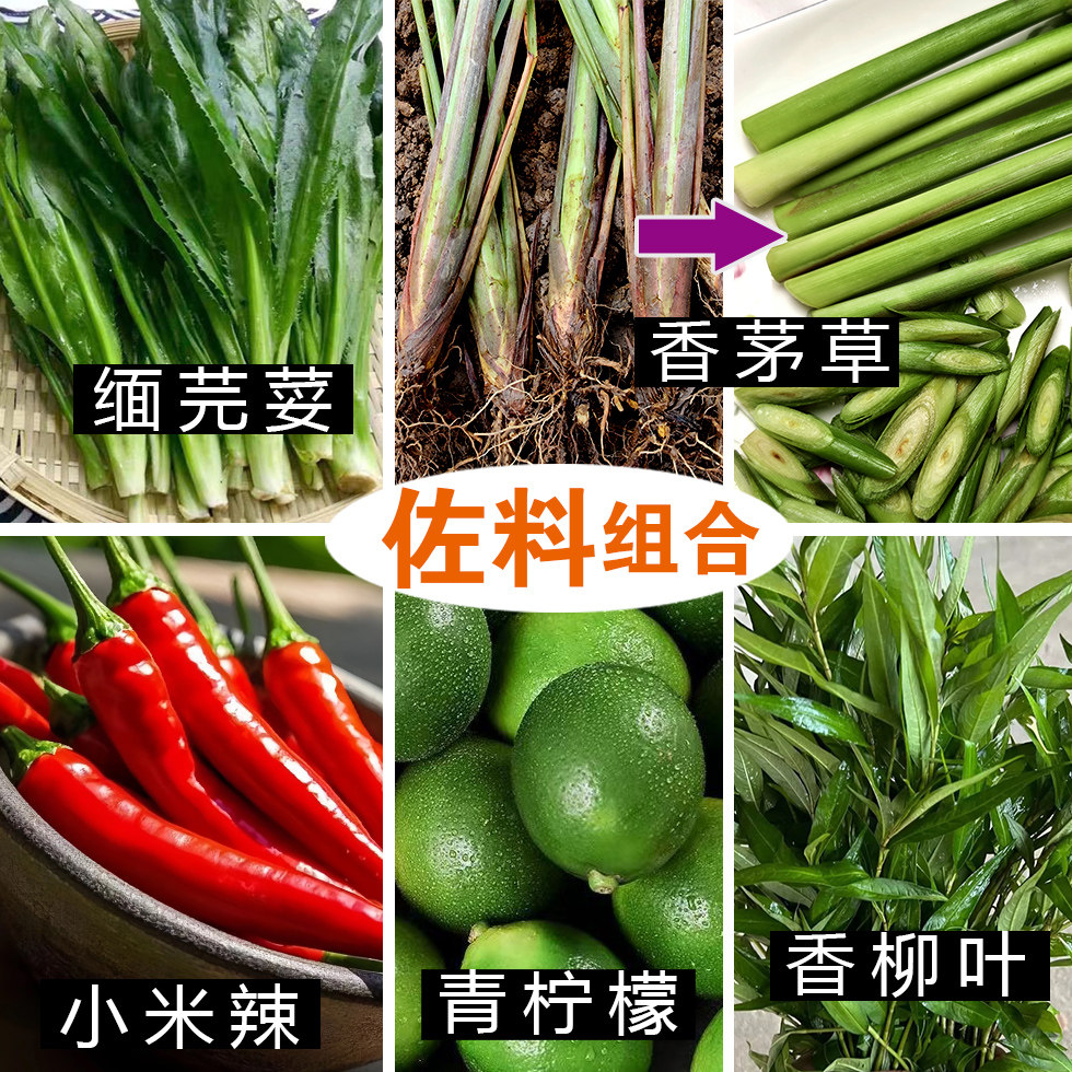 多种蘸水佐料组合云南德宏缅芫荽香柳香茅草青柠檬蔬菜调料鱼香草