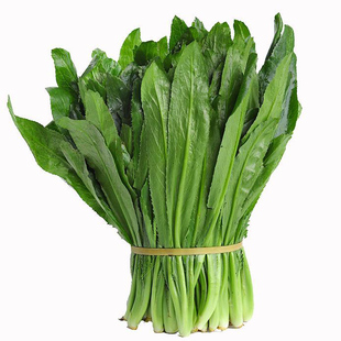 德宏缅芫荽云南大香菜新鲜蔬菜越南泰国刺秦舂菜凉拌调味蘸水佐料