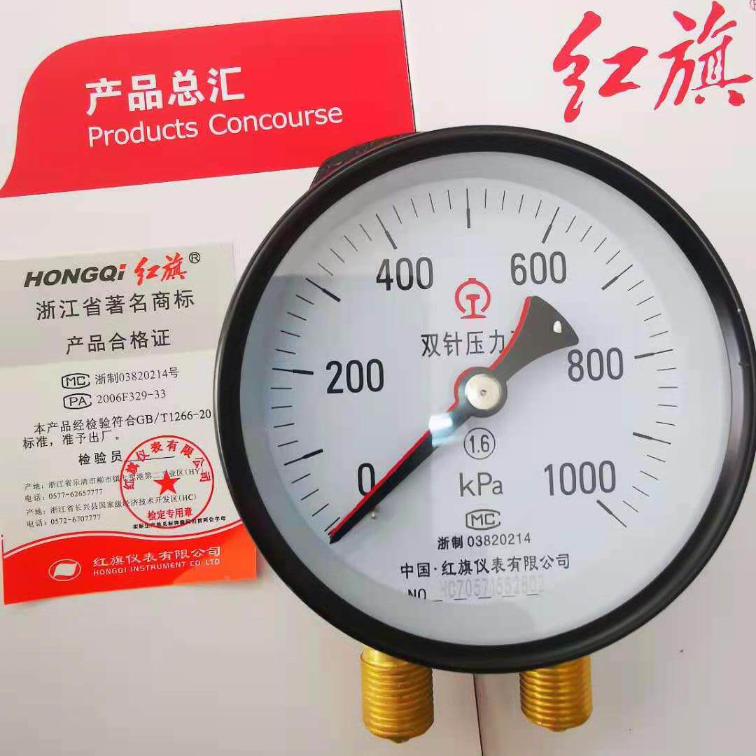红旗仪表厂家直销yzs-102径向带边双针压力表船舶火车双管道压力