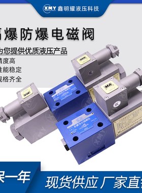 GD-4WE10E/220V防爆电磁换向阀隔爆阀GD-4WE10J/AG24NZ5L 4WE10G
