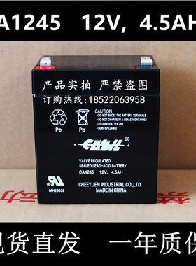 CASIL志源蓄电池CA1245 12V4.5AH太阳能灯电瓶防火卷帘门UPS电源
