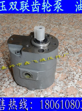 DLCB-B6/6双联齿轮泵CB低压油泵 电动液压机磨床 吸油泵 输送泵