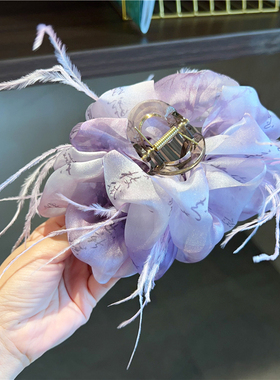 国风大号抓夹紫色网纱超仙羽毛泡泡发夹2024新款头饰后脑勺鲨鱼夹