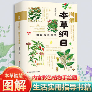 中草药大全中医保健养生书籍 全彩图解白话文 本草纲目正版 李时珍