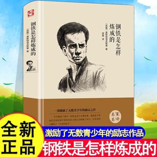 钢铁是怎么炼成 原著中文版 全译本原版 钢铁是怎样炼成