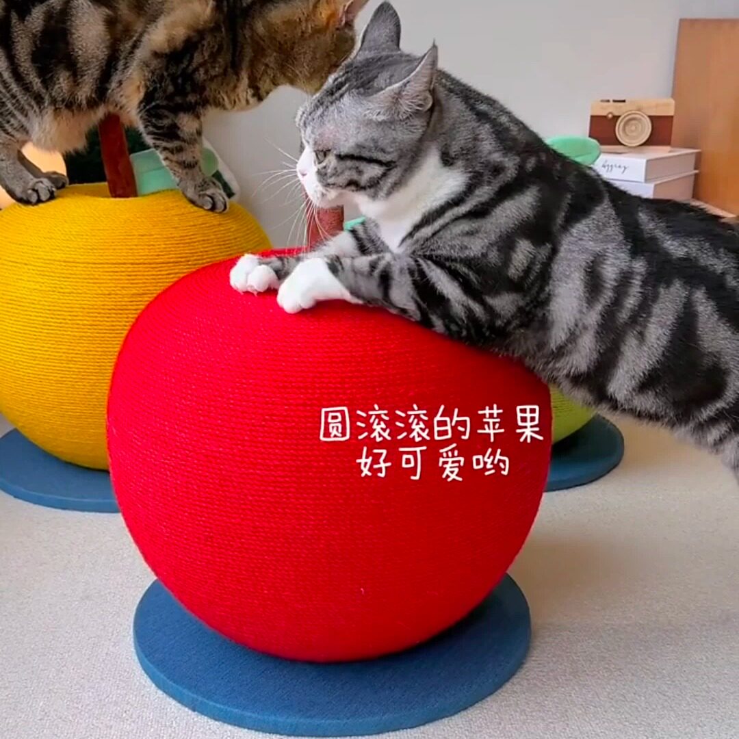 多巴胺超大苹果猫抓板创意耐磨不掉屑剑麻猫抓柱趣味猫咪磨爪玩具