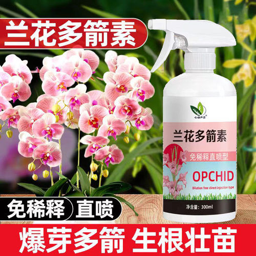 兰花多箭素通用型兰花专用营养液催花延花期治黄叶专用液体肥浓缩