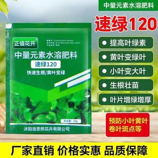 正品速绿120叶绿素提苗生根壮棵叶片增绿增厚中量元素水溶叶面肥