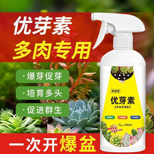 优芽素多肉专用爆芽素促生长营养液促侧芽花卉绿植通用发芽矮胖素
