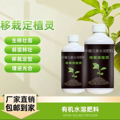 移栽定植灵果树蔬菜定苗移植增加成活率生根壮苗吸收水溶肥