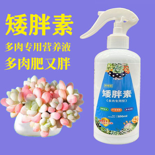 多肉专用矮胖素防徒长增肥上色矮壮剂生石花盆栽通用型浓缩营养液