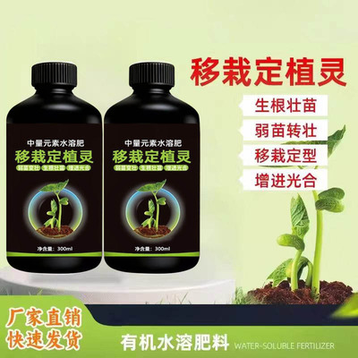 移栽定植灵果树蔬菜定苗移植增加成活率生根壮苗吸收水溶肥