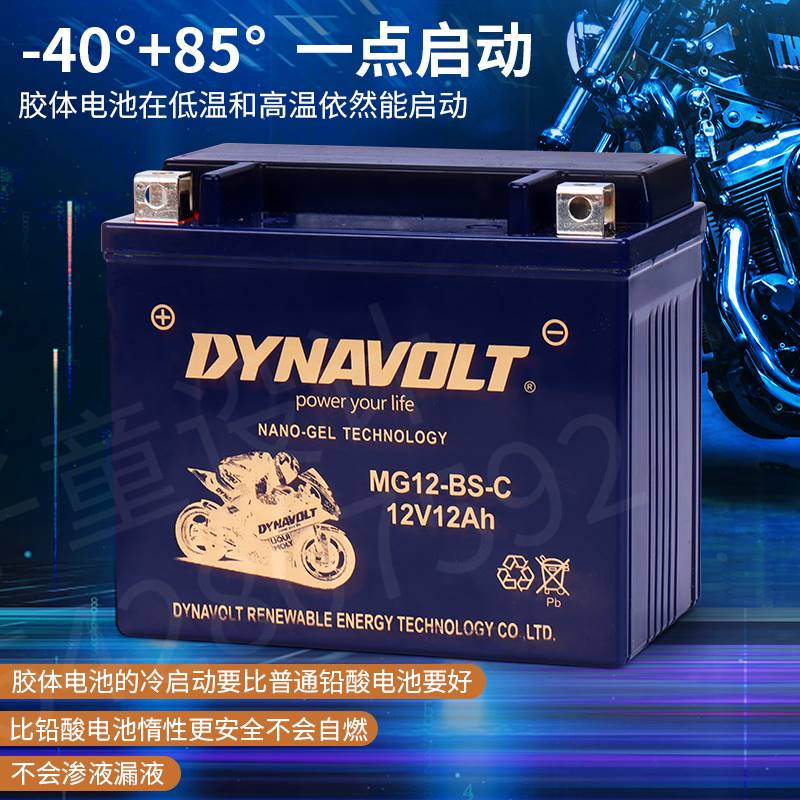 适用于猛狮摩托车电瓶光阳GW250黄龙600赛CT300闪贝纳利12V通用原