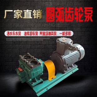 油库卸车泵大流量抽油泵可正反转化粪池污水抽粪泵圆弧齿轮泵