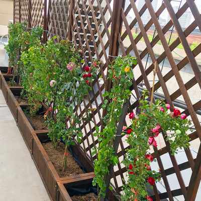 防腐木栅栏户外花箱篱笆围栏花架庭院装饰网格隔断攀植物爬藤架子