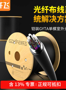 纤飞国标室外光缆四芯6芯8芯12芯24芯48芯72芯96芯144芯铠装单模多模光纤线户外光缆监控安防线GYXTW中心束管