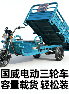 成人小型家用电瓶车电动三轮车厂家直销拉货农用新国标国威品牌车