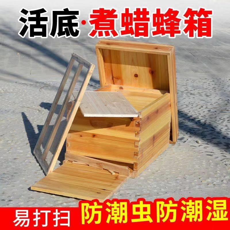 蜜蜂蜂箱全套中蜂箱十框标准箱杉木诱蜂桶土蜂七框箱蜂具厂家