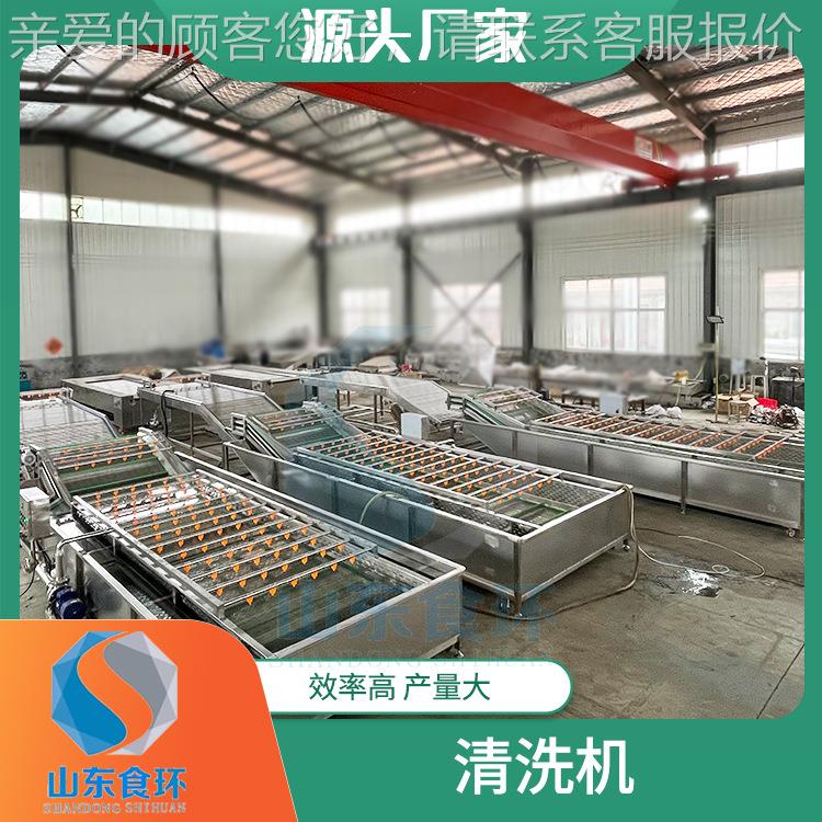 全自动家大枣泡清洗机机 果蔬清洗 蔬菜喷淋式清洗气设备POR 厂直