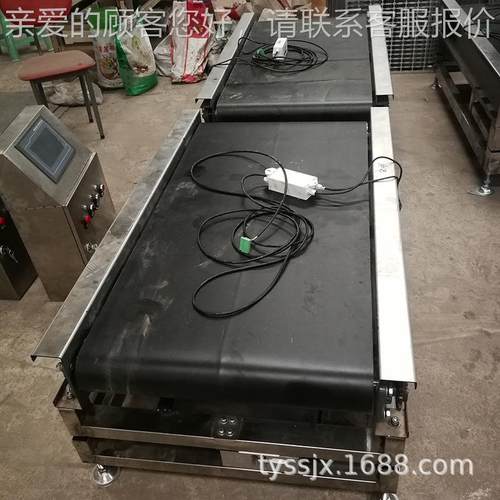 动天元皮带输送重纸箱皮在带滚筒秤大袋子流水线全自动检秤线态称