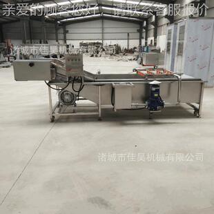 洋气机泡清洗机 菜清洗 水果蔬菜清洗梅机 直供果蔬清洗LVZ葱设备