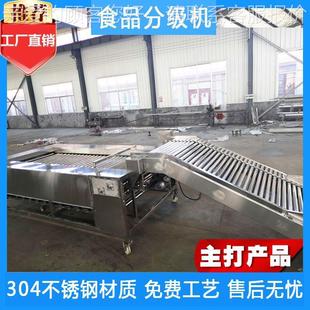 滚杠式 分大级AGI机 蒜分级机红枣柑橘分级机价格可 小型滚杠式 大
