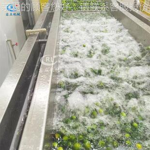 全自动泡式梅清洗机 多能鼓泡式沙棘话梅去杂西机VAB功 气柚子清