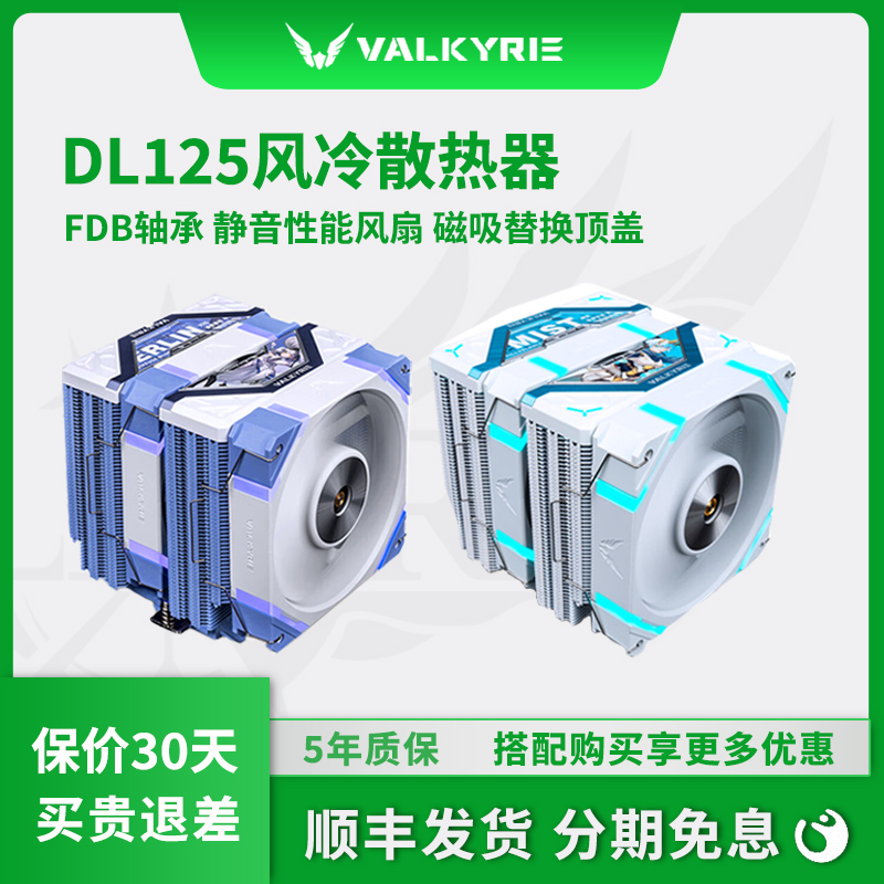 瓦尔基里DL1256铜管风冷散热器