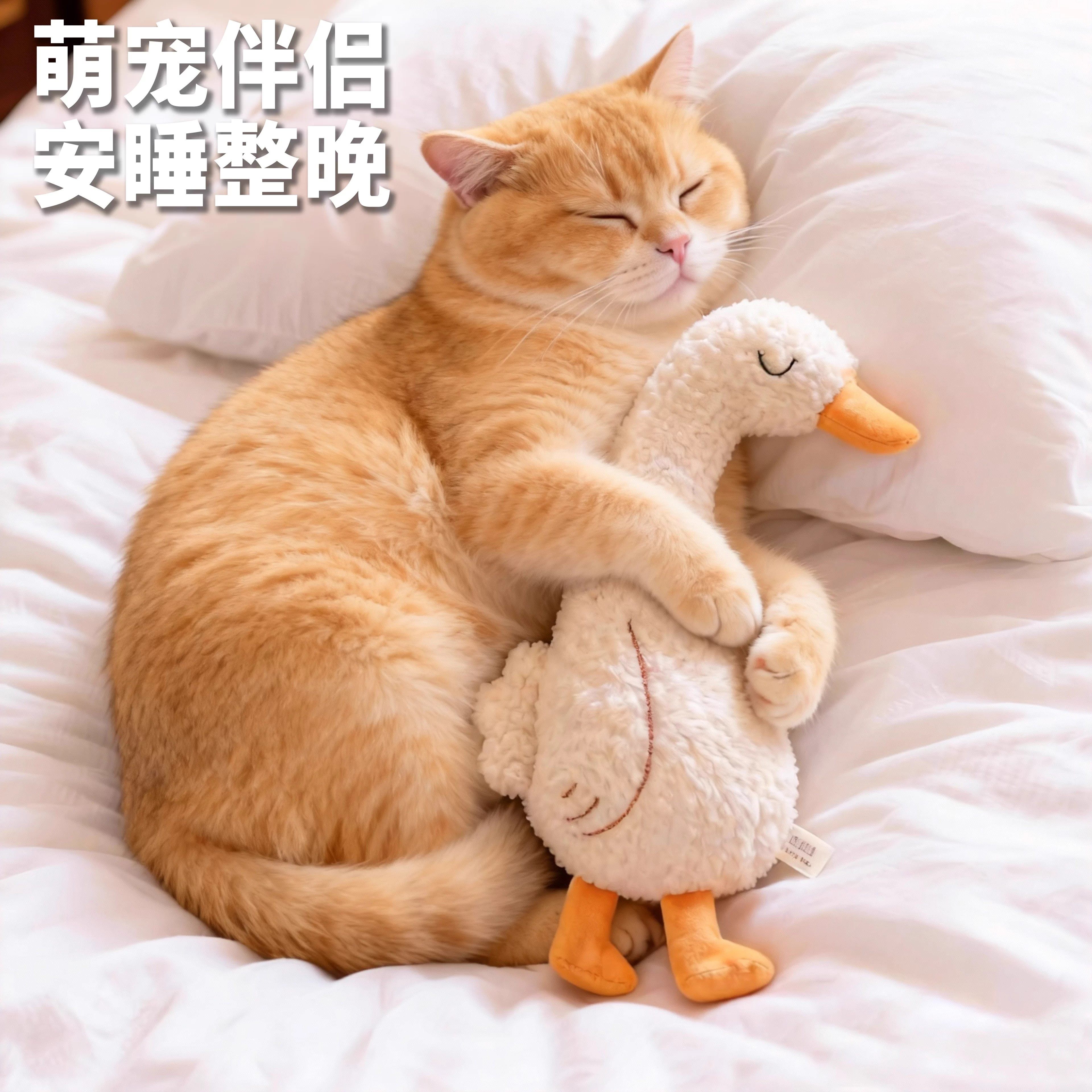 猫咪玩具安抚陪伴毛绒玩偶陪睡自嗨解闷响纸逗猫棒萌宠小狗狗用品,宠物/宠物食品及用品,发声玩具,淘宝优惠券,粉丝福利购,淘宝优惠卷
