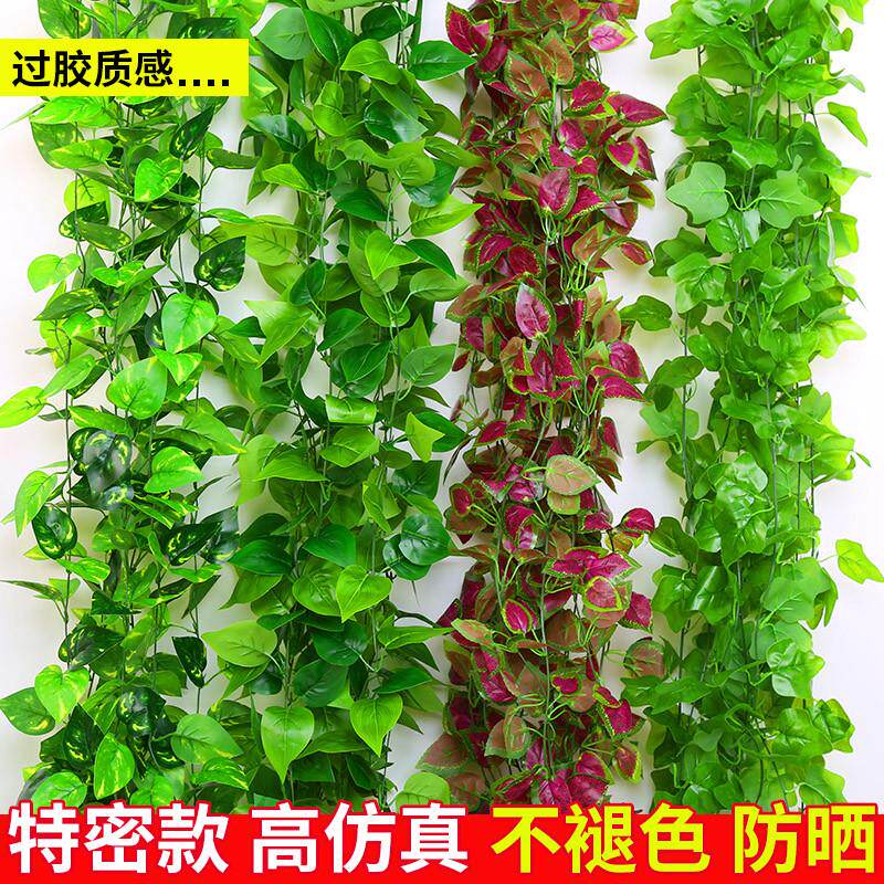 假花藤条缠绕装饰彷真黄金葛叶空调水管道遮挡藤蔓暖气栏杆塑料树