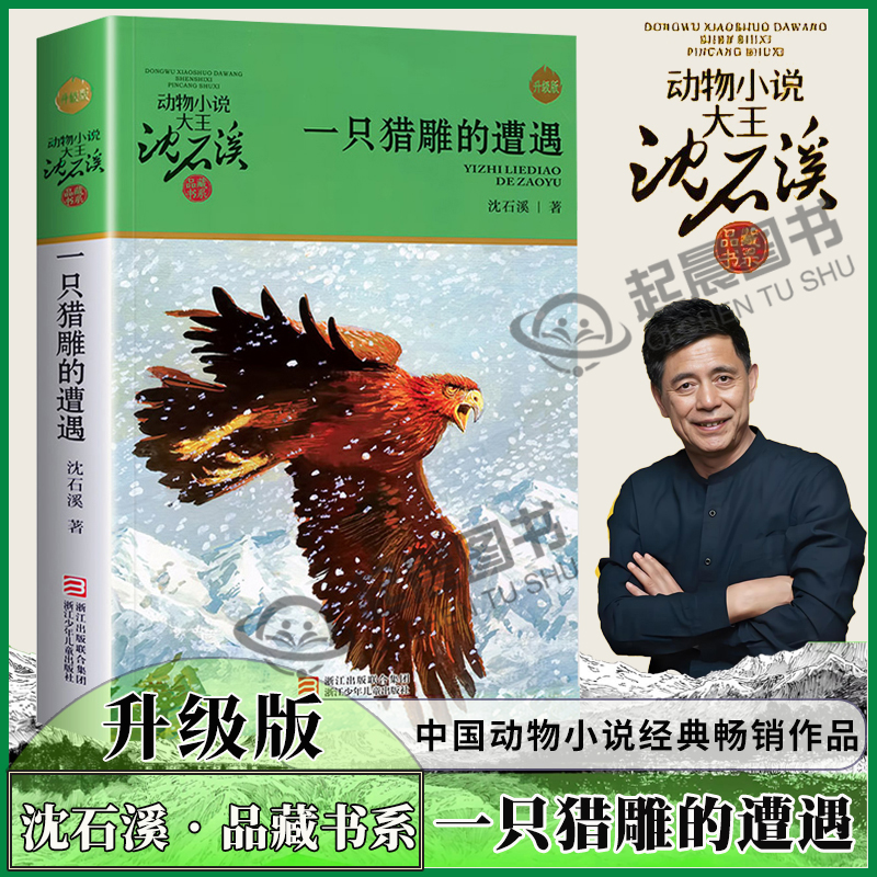 一只猎雕的遭遇 正版 沈石溪著 动物小说大王沈石溪品藏书系 经典儿童文学小说 小学生三四年级五六年级课外书 浙江少年儿童出版社