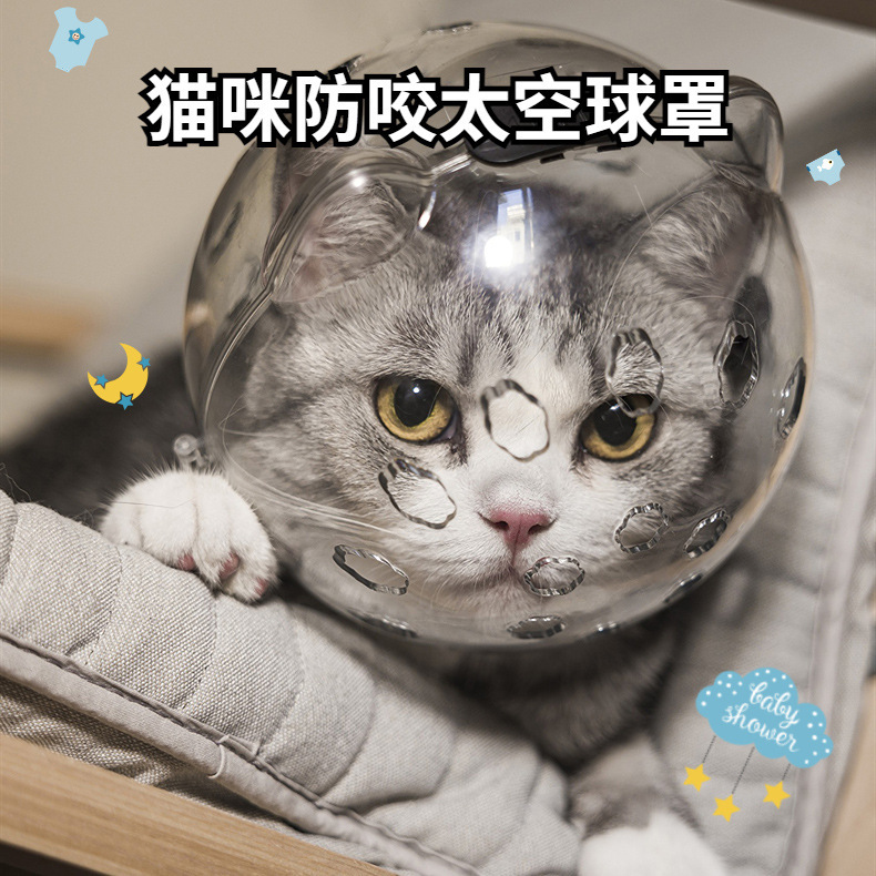 伊丽莎白项圈防咬洗澡剪指甲防抓防舔宠物猫头套猫咪太空头罩