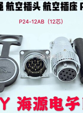 重强 航空插头 航空插座 P24-9芯10芯12芯15芯17芯19芯 开孔24MM