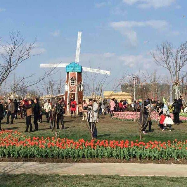 景区公园旋转大风车户外摄影基地拍照道具大型防腐木花园造景摆件