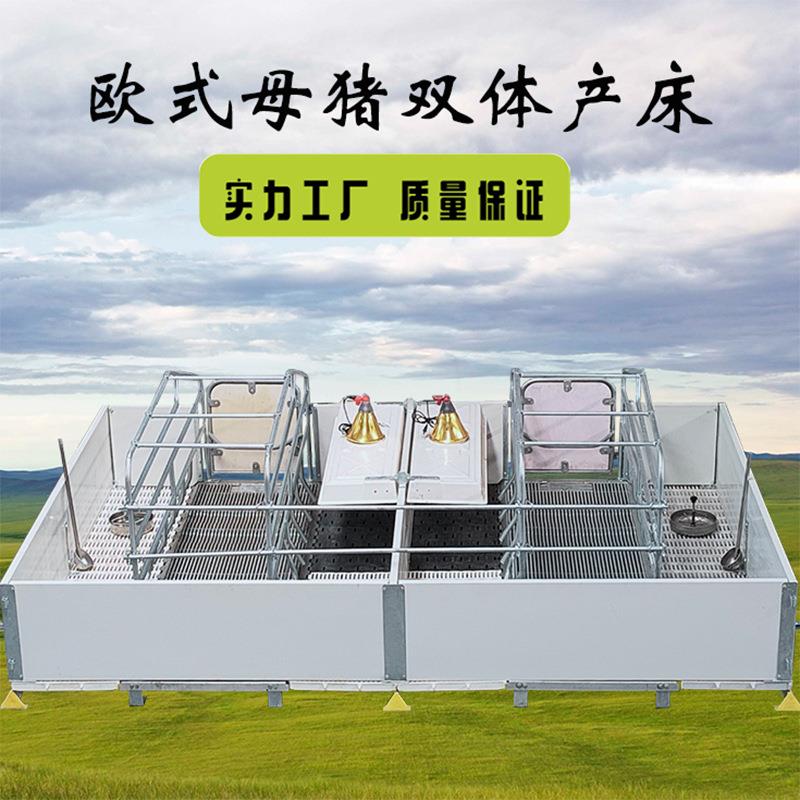 出口品质欧式pvc母猪产床加厚三棱刚欧式母猪产床新型母猪分娩床