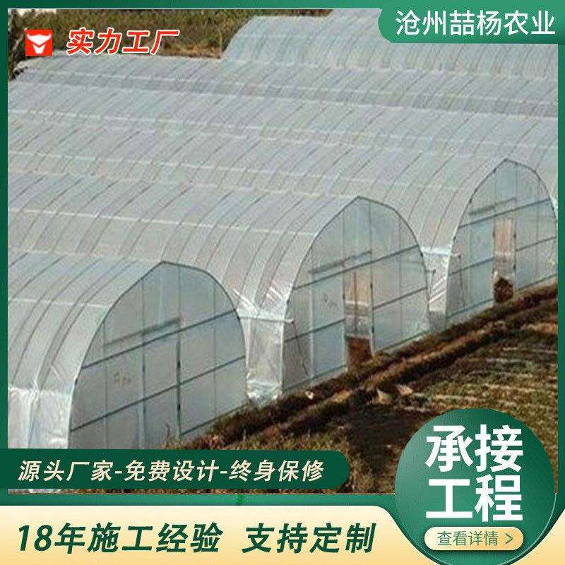 新型智能温室大棚暖棚大棚骨架钢管全套农业种植大棚菜棚