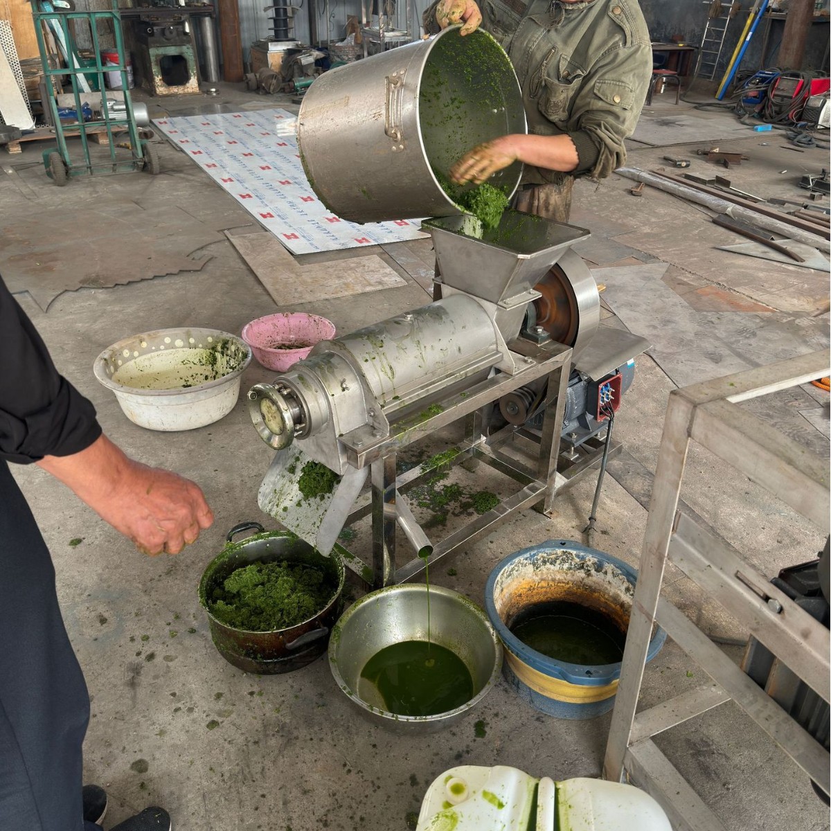 不锈钢材质粉碎胡萝卜打汁机 小青柑粉碎压榨机 破碎式打汁机