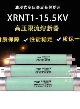 XRNT1-15.5KV/50A63A50KA油浸式变压器后备保护用高压熔断器