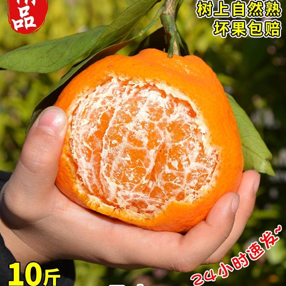 正宗四川春见耙耙柑巴巴粑粑柑杷杷柑特级橘子新鲜水果10斤,水产肉类/新鲜蔬果/熟食,桔子,淘宝优惠券,粉丝福利购,淘宝优惠卷