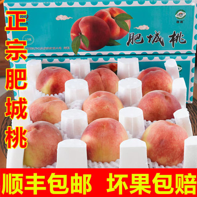 肥城桃新鲜桃子水果当季整箱应季肥桃脆甜山东正宗泰安水蜜桃顺丰