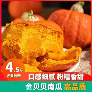 正宗红魔金贝贝南瓜迷你板栗味红皮南瓜金柄面粉糯香甜红贝贝南瓜