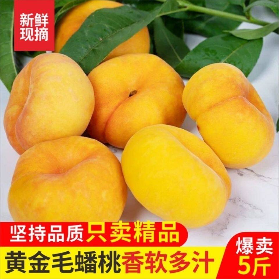 黄金蟠桃新鲜水果当季孕妇桃子盘纽扣扁桃子脆甜蜜黄毛潘桃蒙阴5